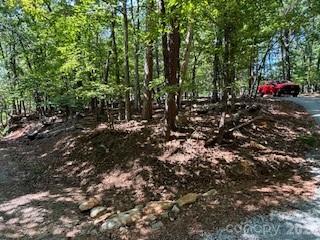00 Johnson Circle Lake Lure NC 28746