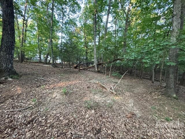 00 Johnson Circle Lake Lure NC 28746