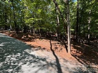 00 Johnson Circle Lake Lure NC 28746