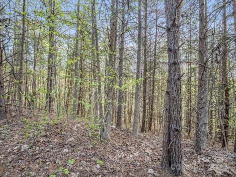 00 Equestrian Drive Bostic NC 28018