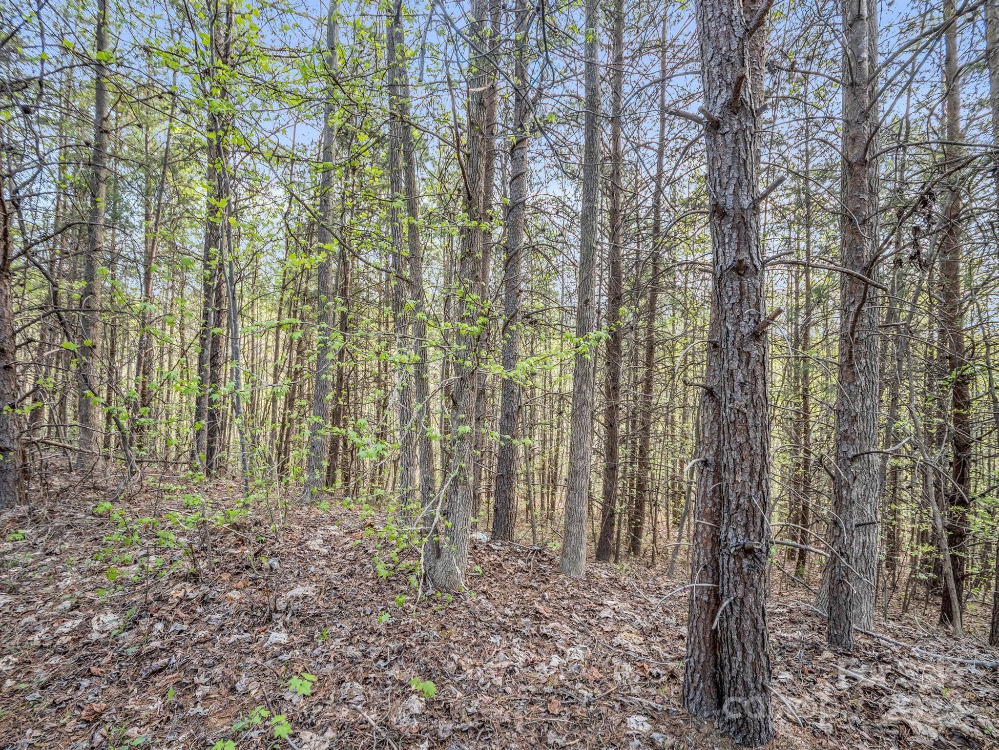 00 Equestrian Drive Bostic NC 28018
