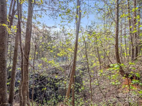 00 Equestrian Drive Bostic NC 28018