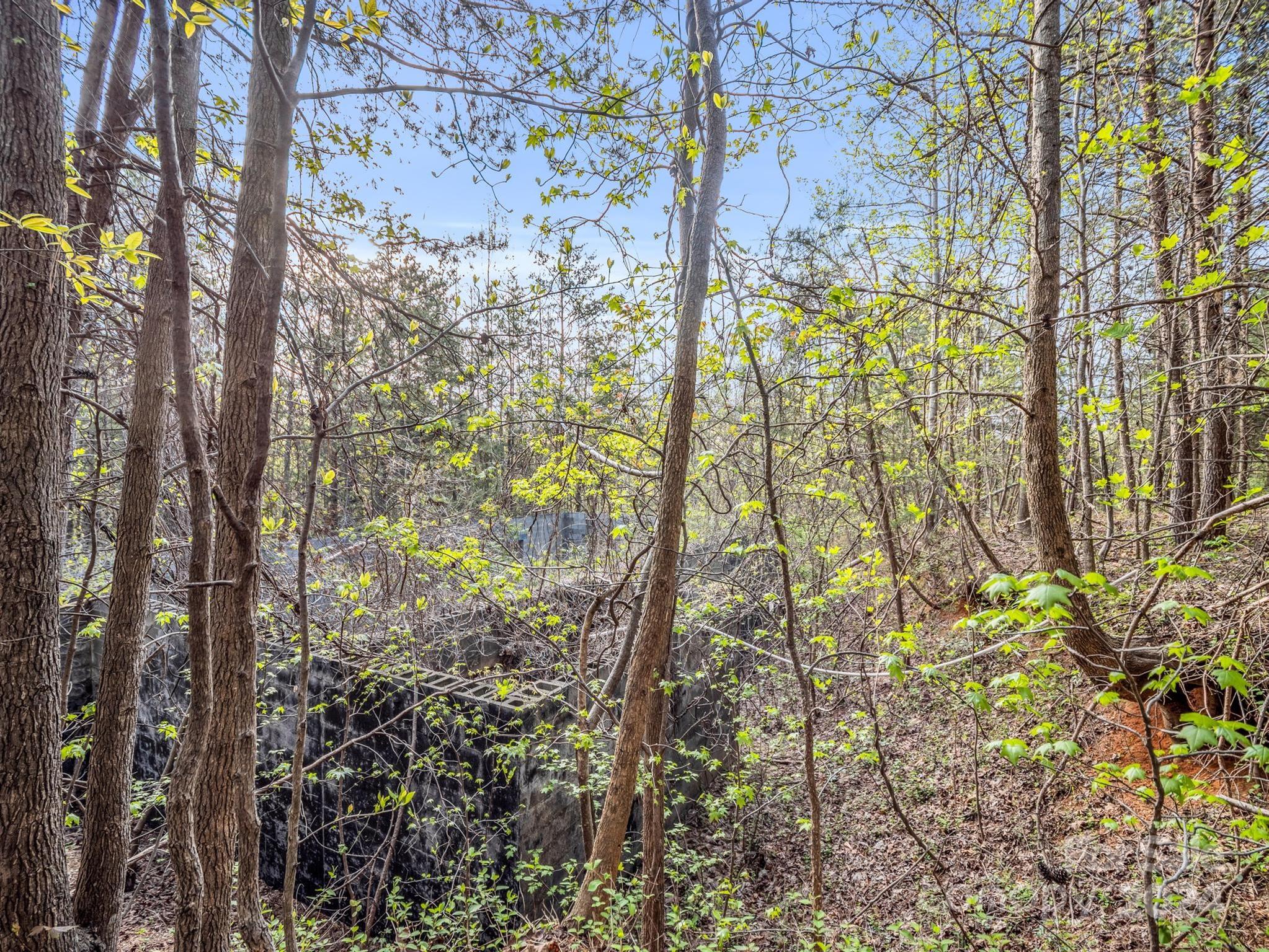 00 Equestrian Drive Bostic NC 28018