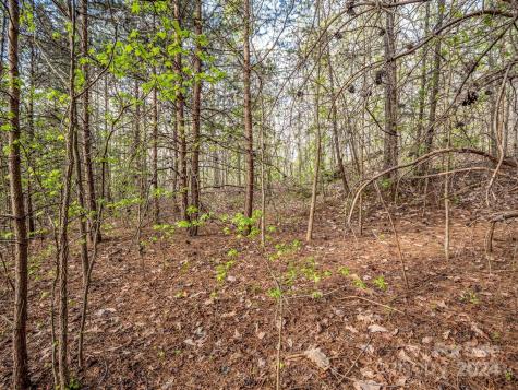 00 Equestrian Drive Bostic NC 28018