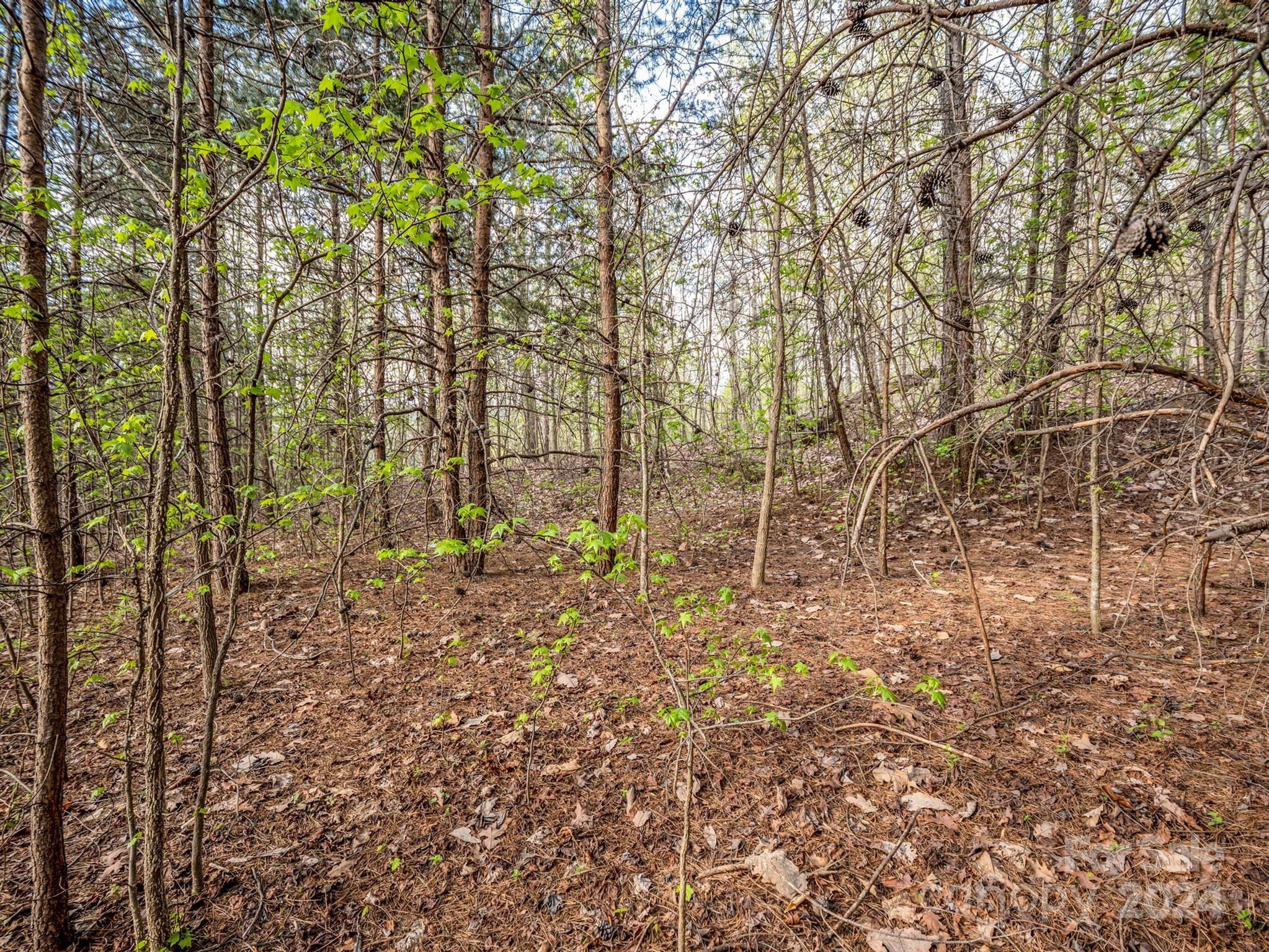 00 Equestrian Drive Bostic NC 28018