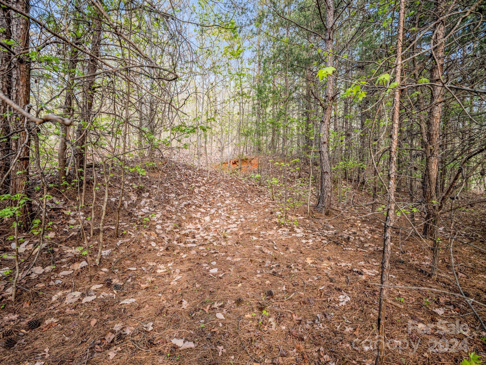 00 Equestrian Drive Bostic NC 28018