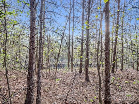 00 Equestrian Drive Bostic NC 28018