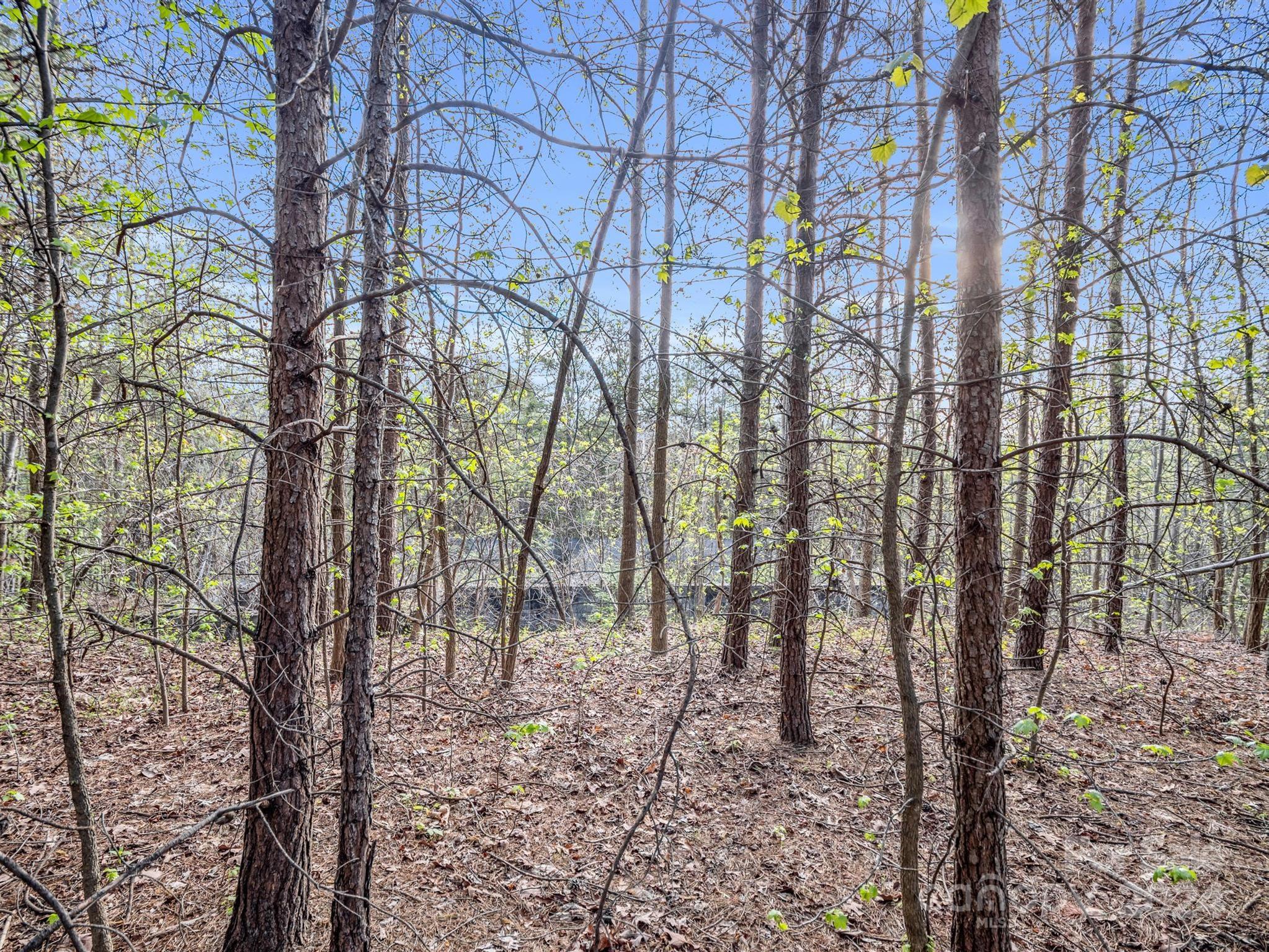 00 Equestrian Drive Bostic NC 28018