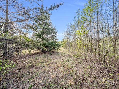 00 Equestrian Drive Bostic NC 28018
