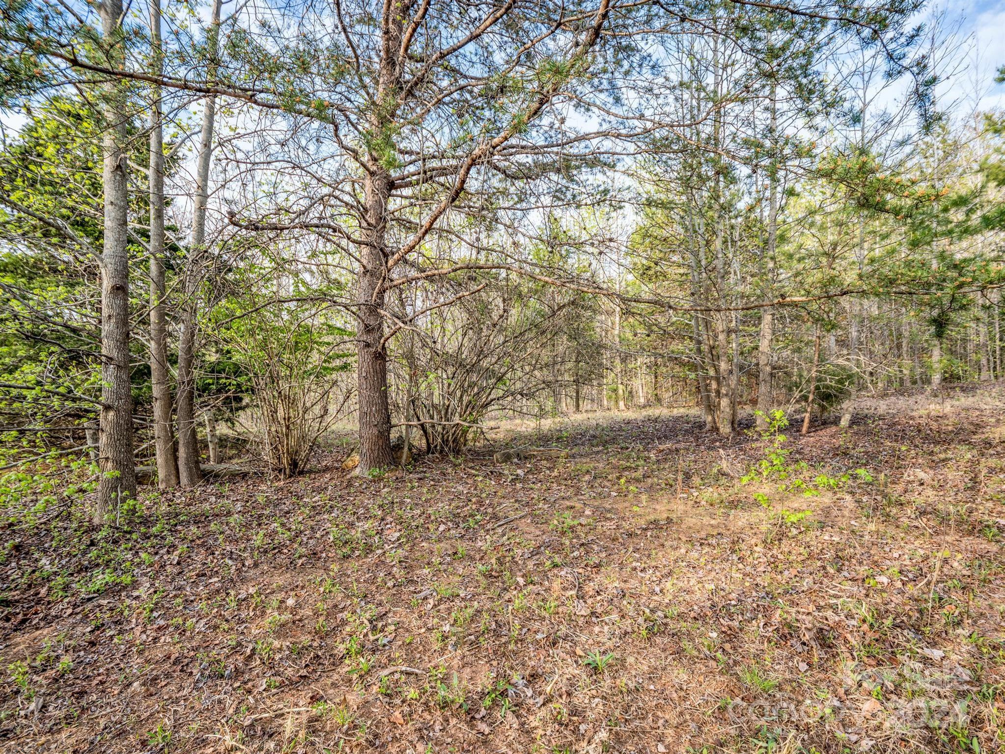 00 Equestrian Drive Bostic NC 28018