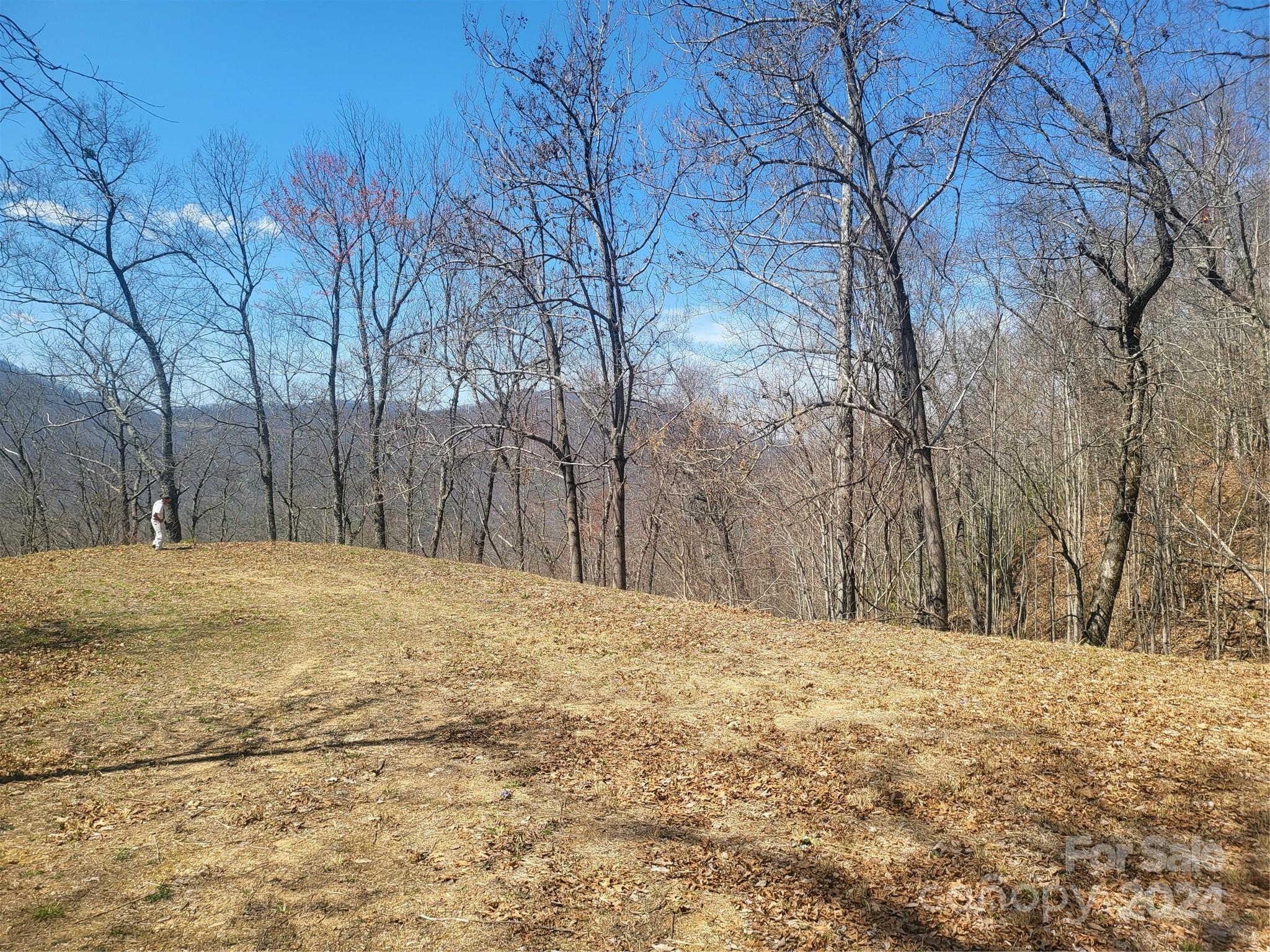 1229 Dry Creek Robbinsville NC 28771