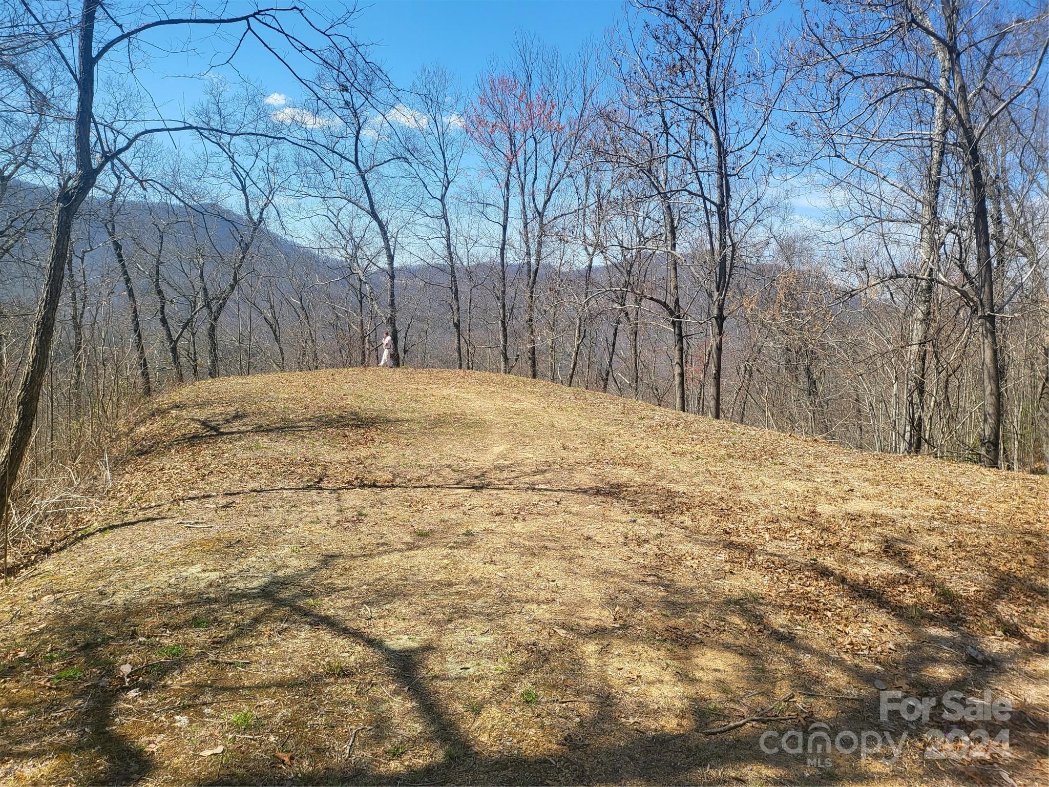 1229 Dry Creek Robbinsville NC 28771