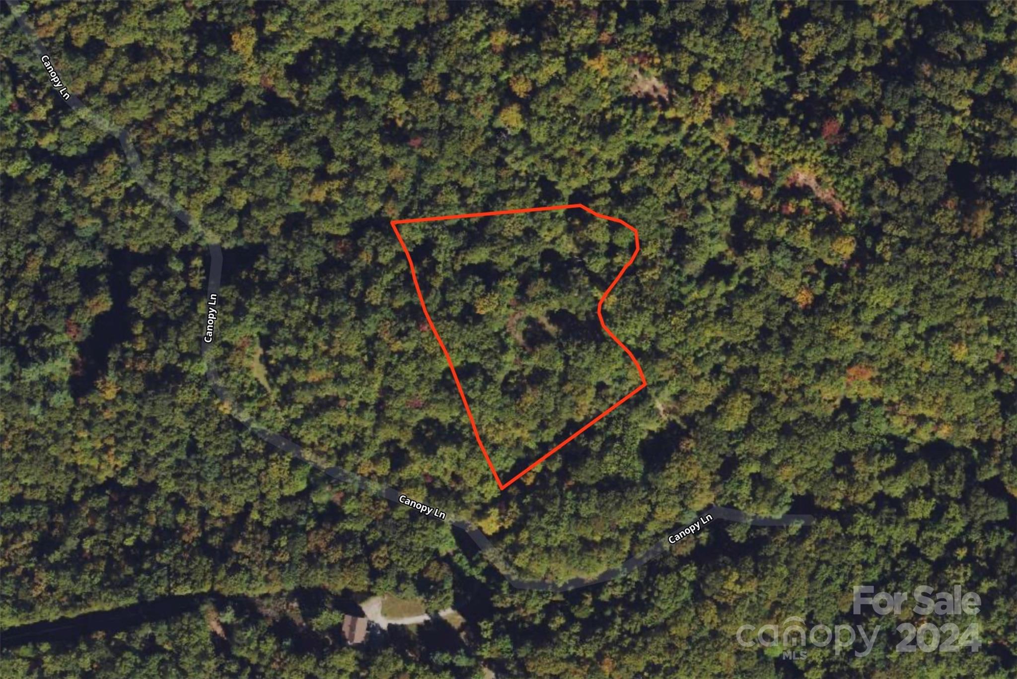 1229 Dry Creek Robbinsville NC 28771