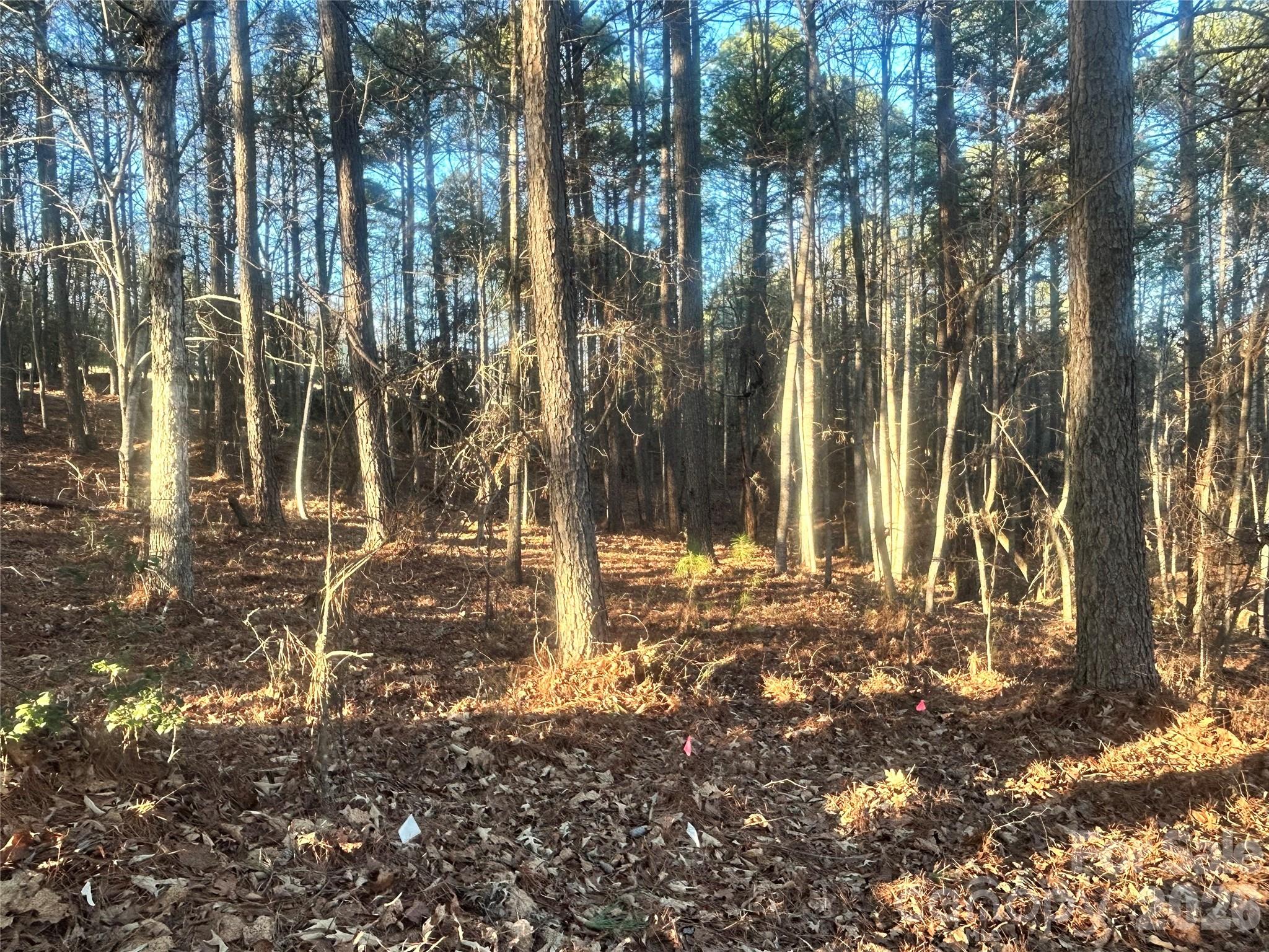 5501 Bridgewater Drive Granite Falls NC 28630