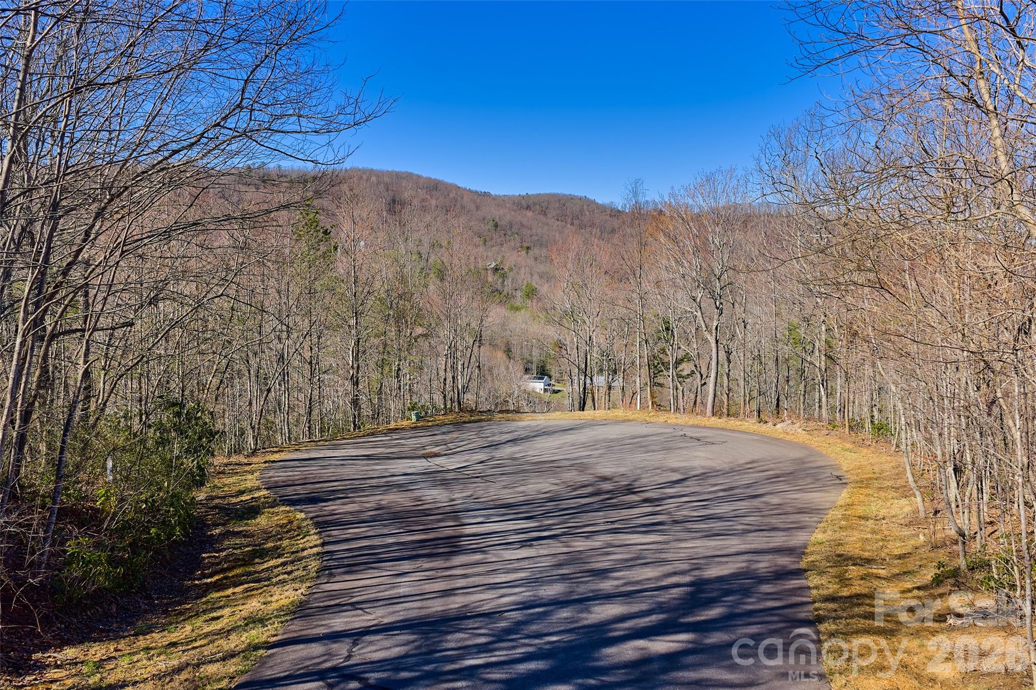 459/461 Feather Falls Trail Black Mountain NC 28711