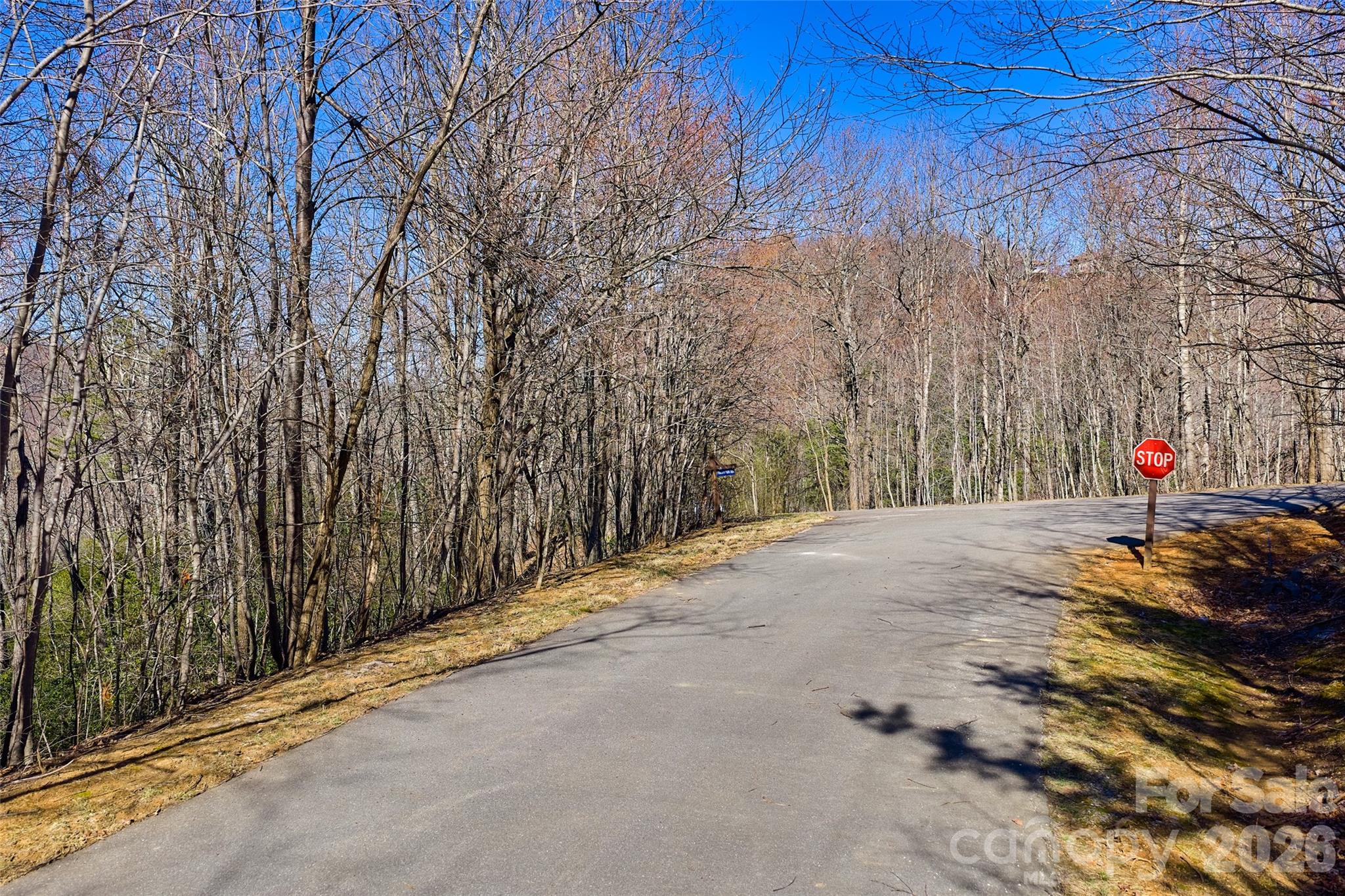459/461 Feather Falls Trail Black Mountain NC 28711