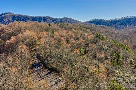 459/461 Feather Falls Trail Black Mountain NC 28711