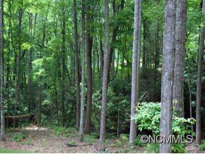 50 Slide Rock Way Fairview NC 28730