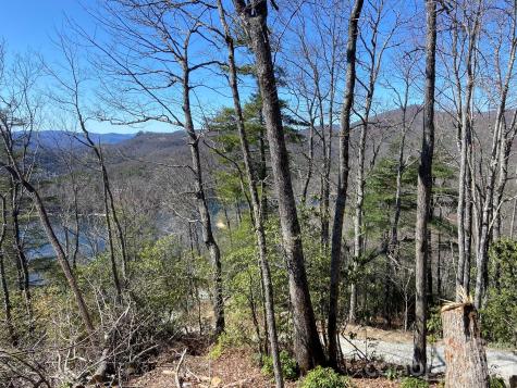 Lt 5b, 15a, 15b Von Trapp Lane Tuckasegee NC 28783