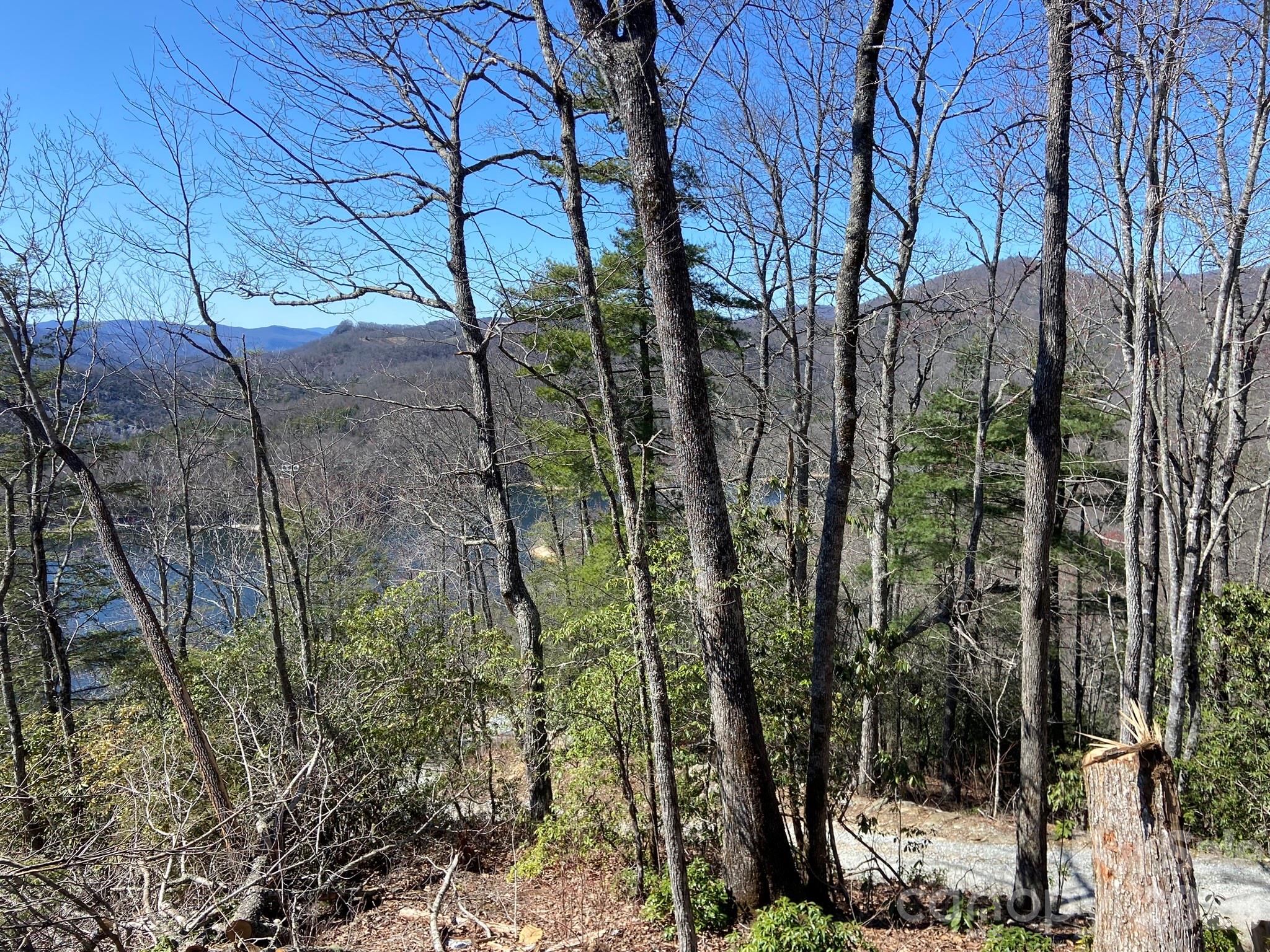 Lt 5b, 15a, 15b Von Trapp Lane Tuckasegee NC 28783