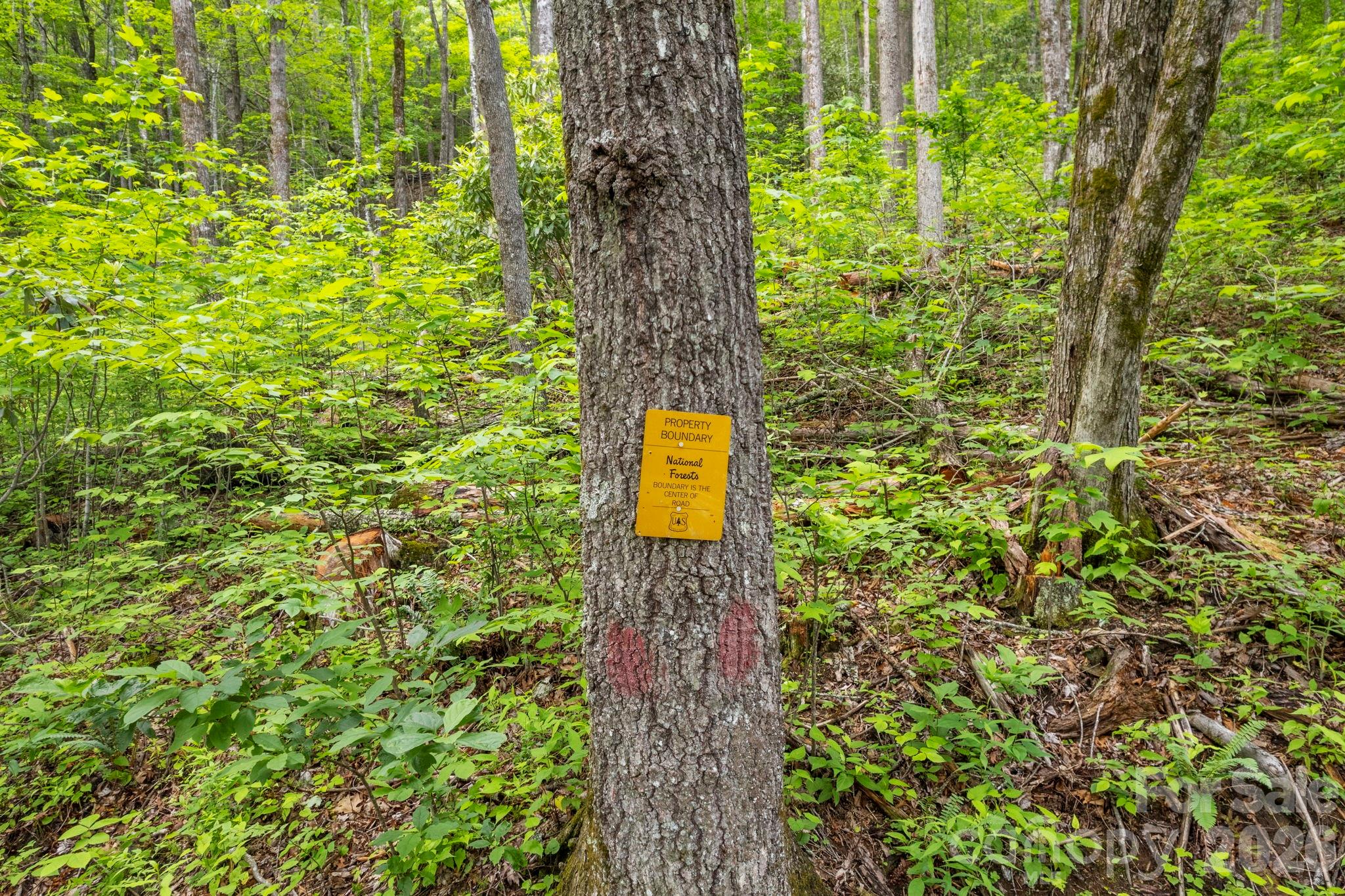 Lt 5b, 15a, 15b Von Trapp Lane Tuckasegee NC 28783
