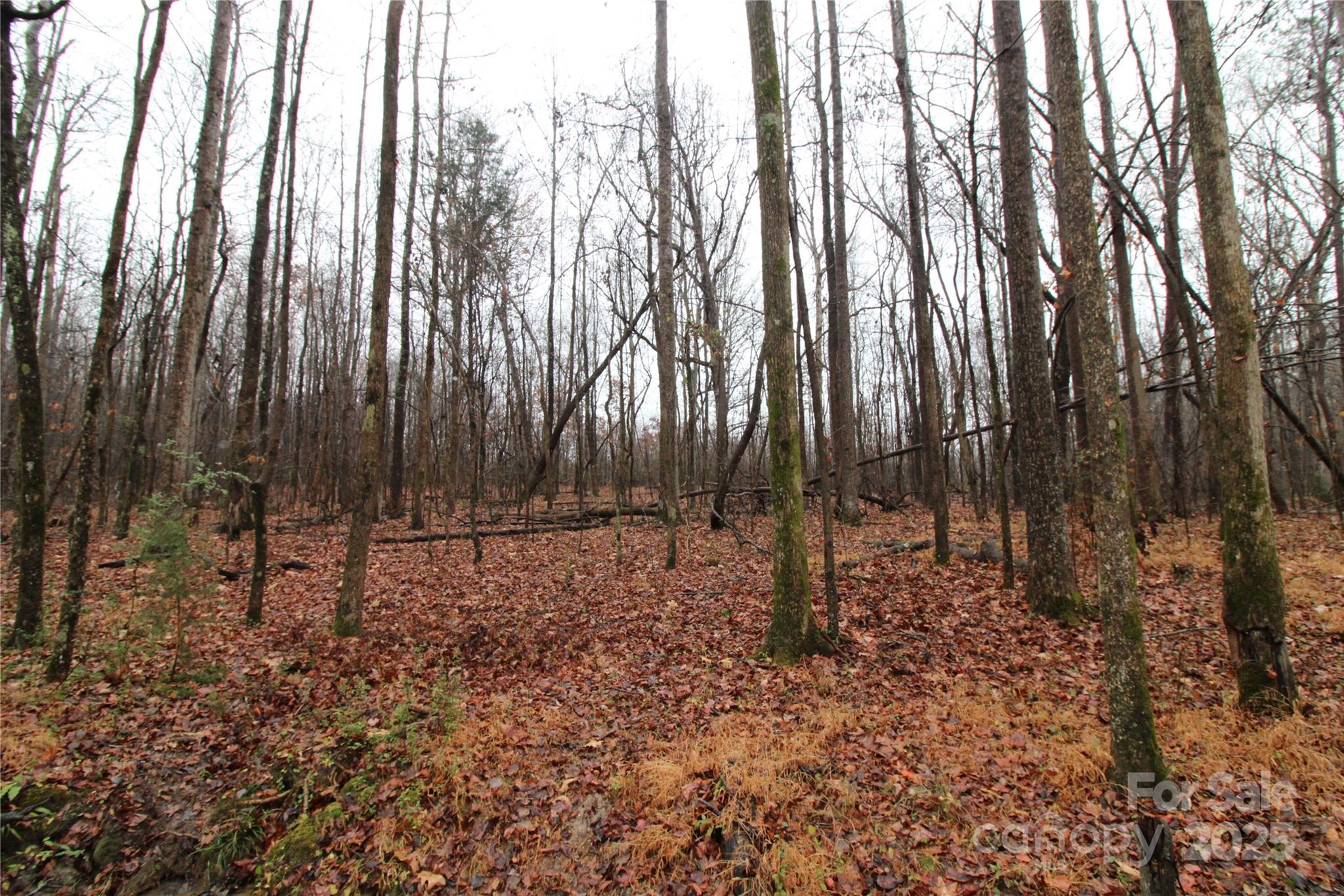 5+/-AC Eaker Road Bessemer City NC 28016