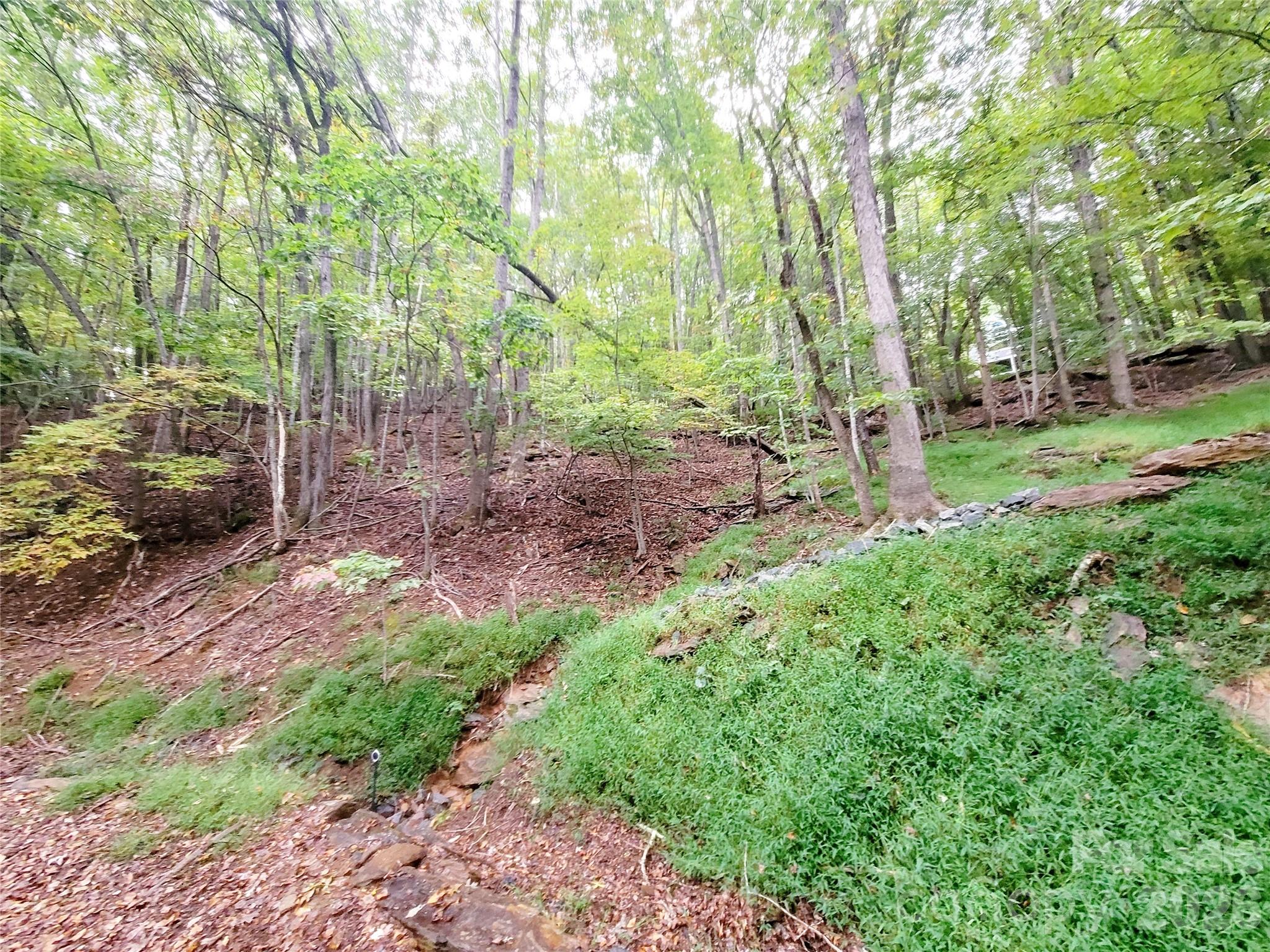 47 Sourwood Drive Mills River NC 28759