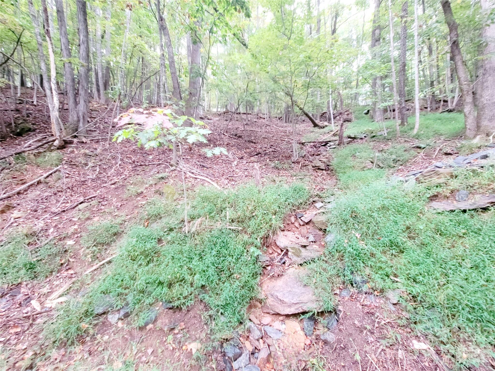 47 Sourwood Drive Mills River NC 28759