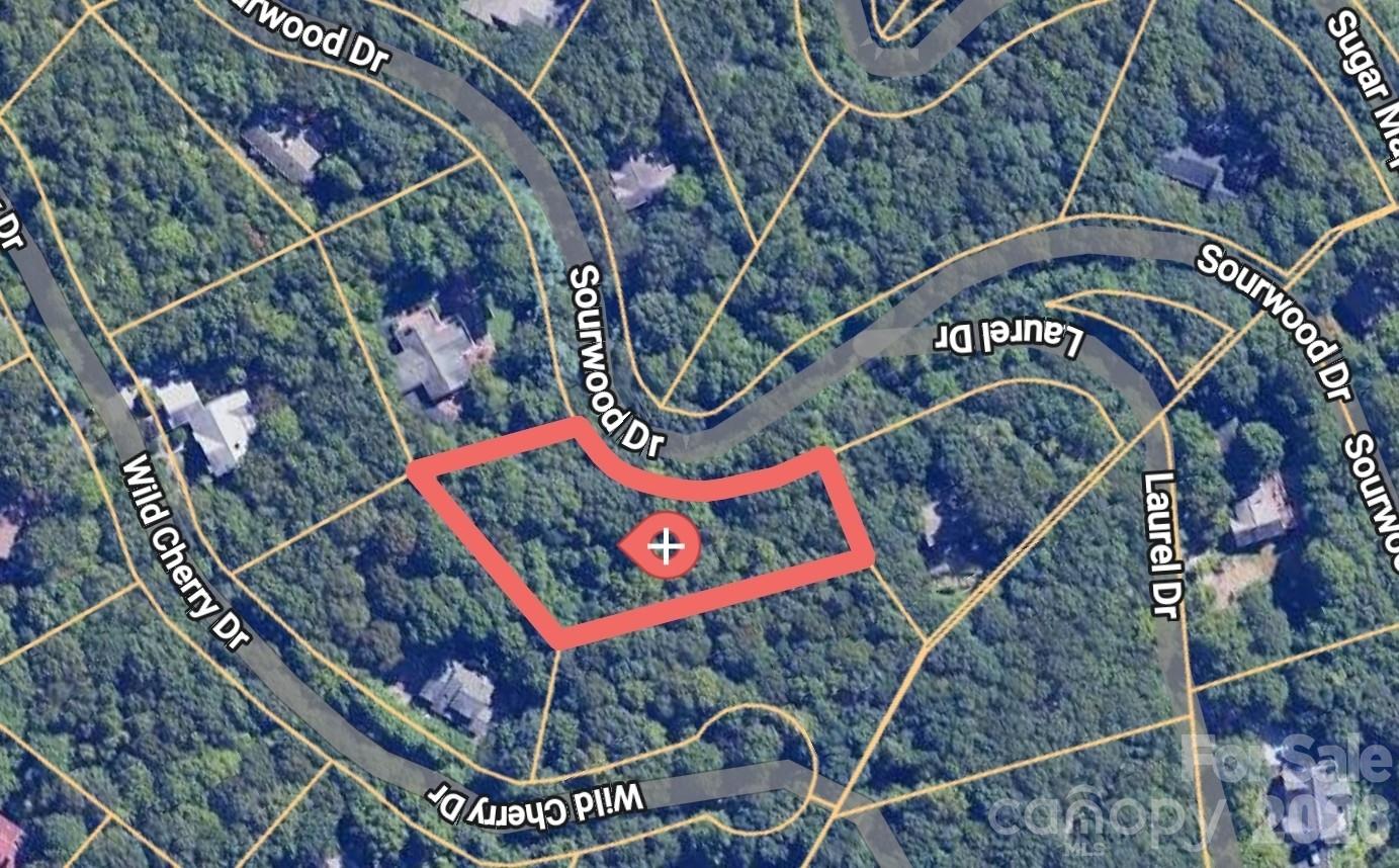 47 Sourwood Drive Mills River NC 28759