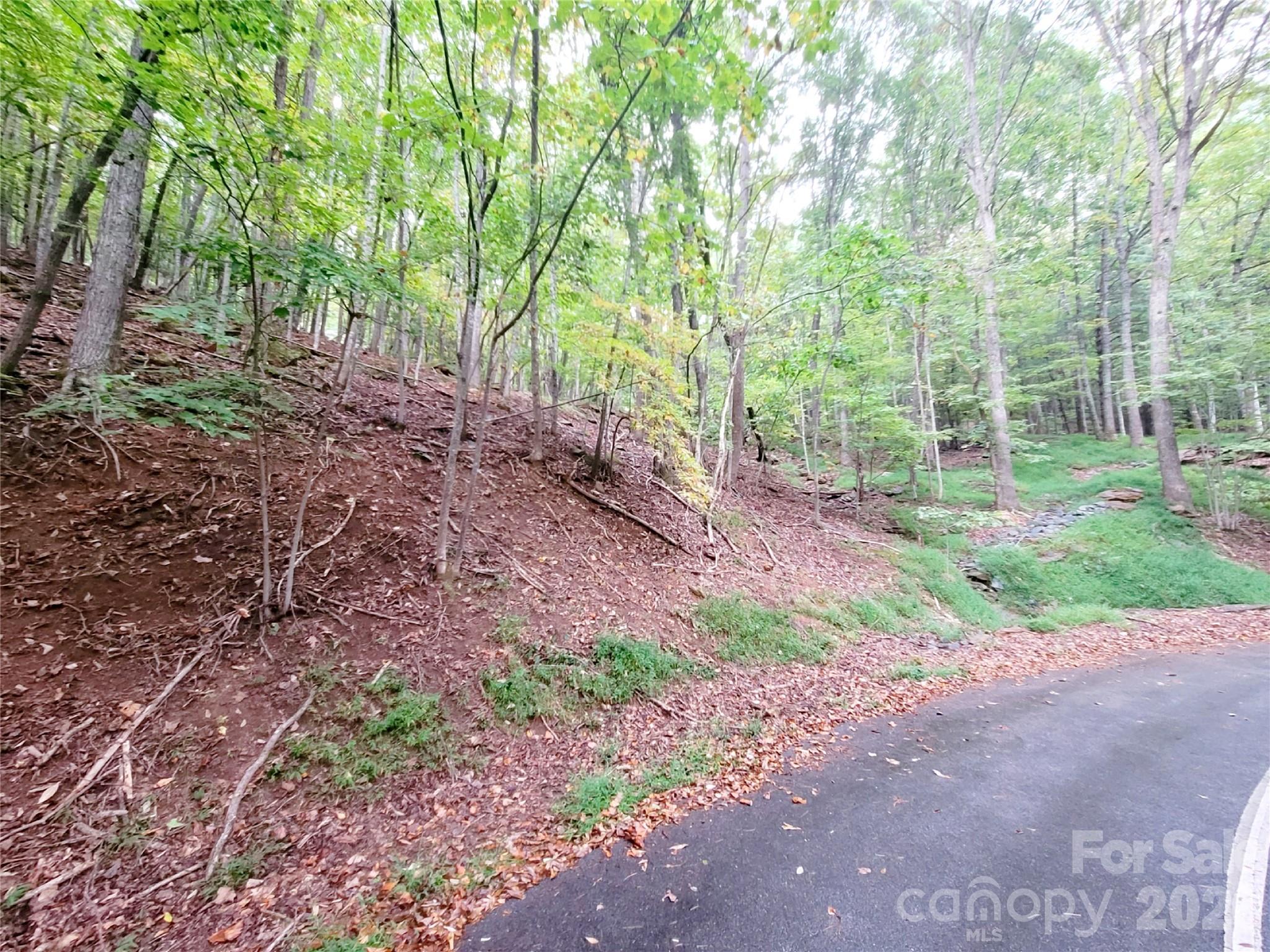 47 Sourwood Drive Mills River NC 28759