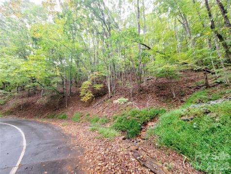 47 Sourwood Drive Mills River NC 28759