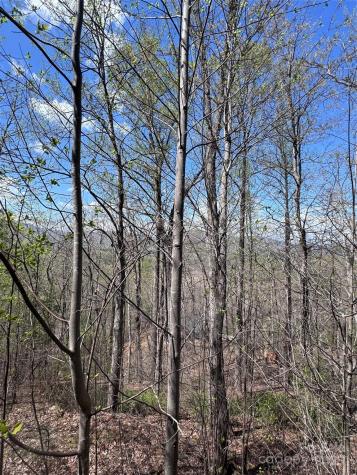 0 High Pines Loop Lake Lure NC 28746