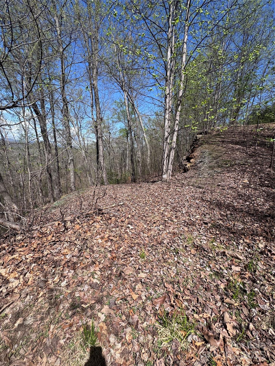 0 High Pines Loop Lake Lure NC 28746