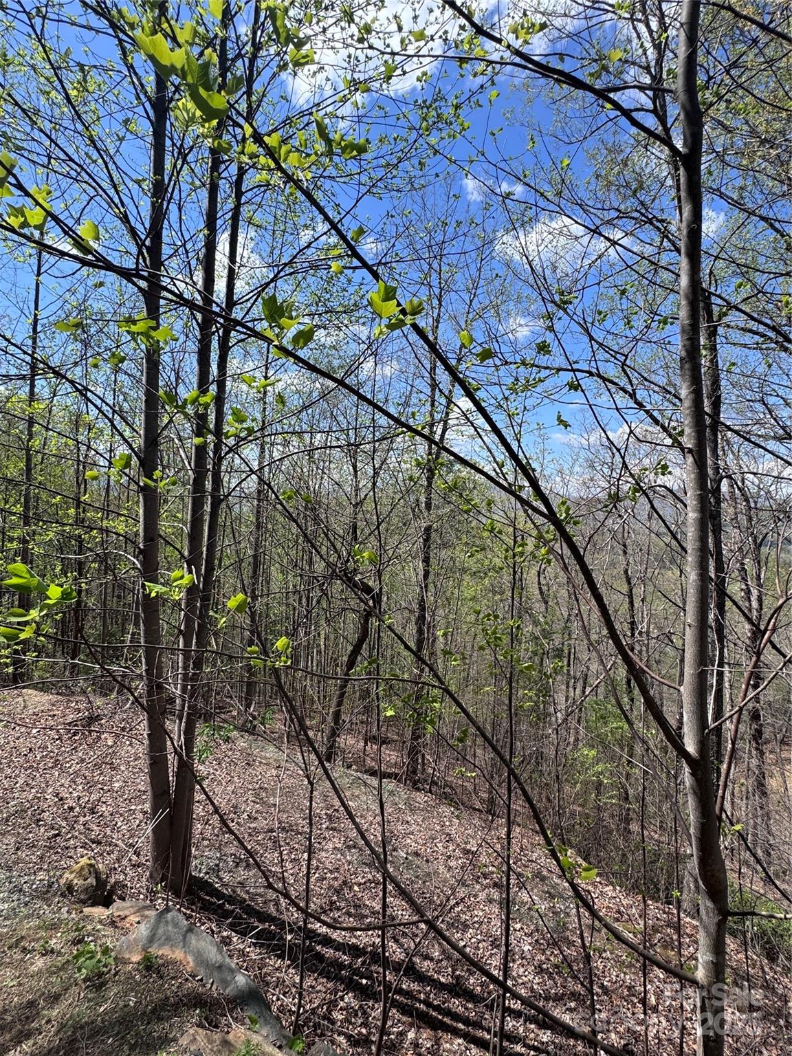 0 High Pines Loop Lake Lure NC 28746