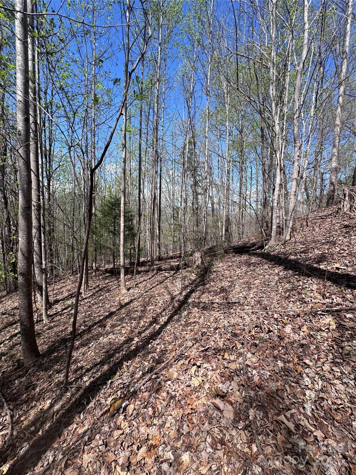 0 High Pines Loop Lake Lure NC 28746
