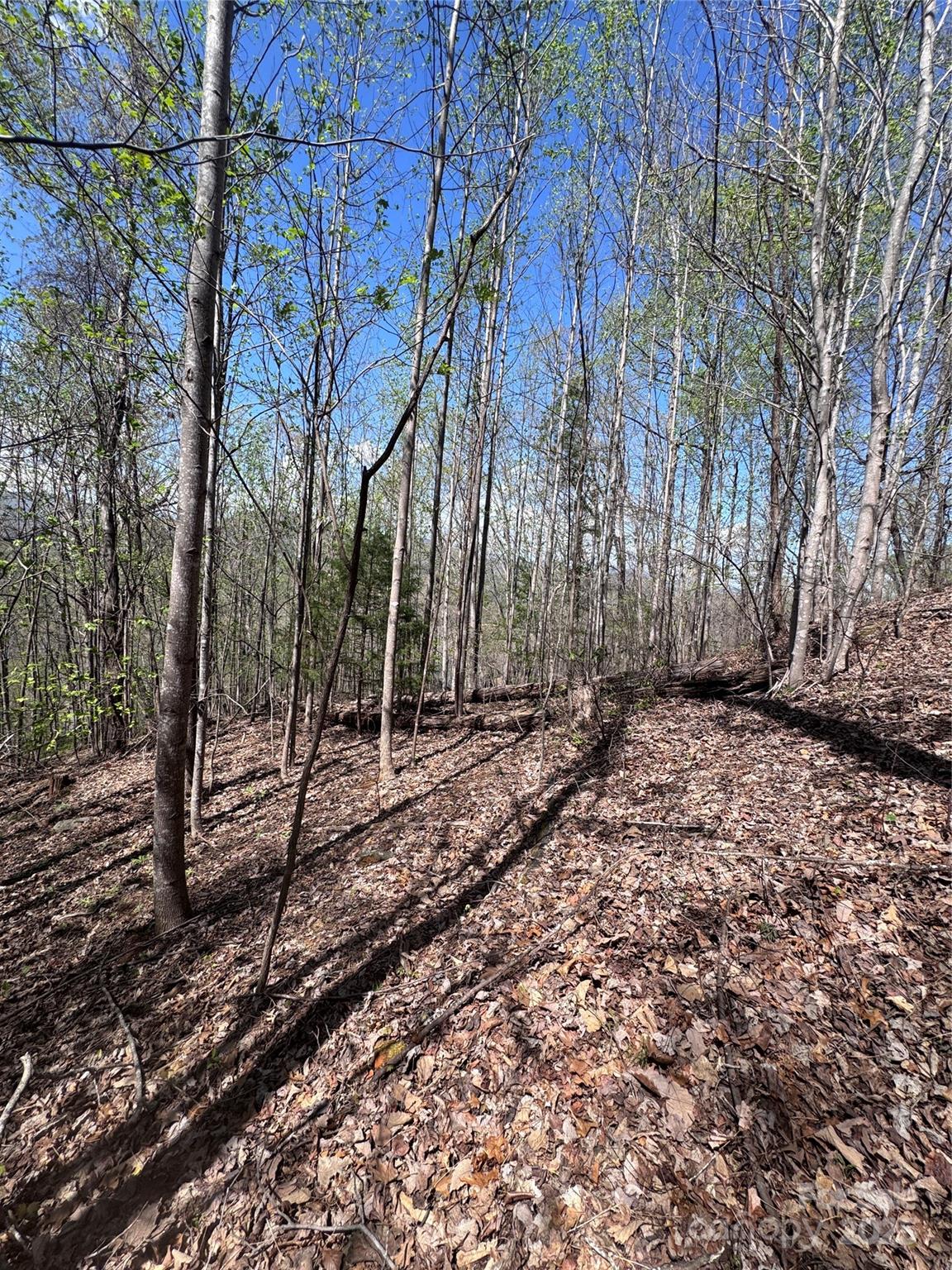 0 High Pines Loop Lake Lure NC 28746