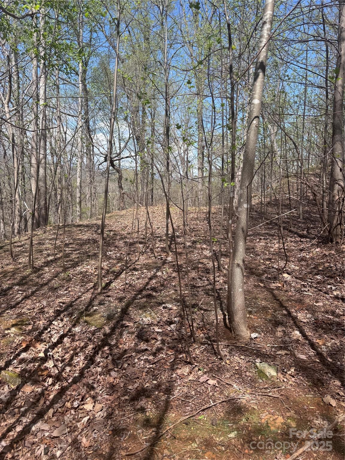 0 High Pines Loop Lake Lure NC 28746