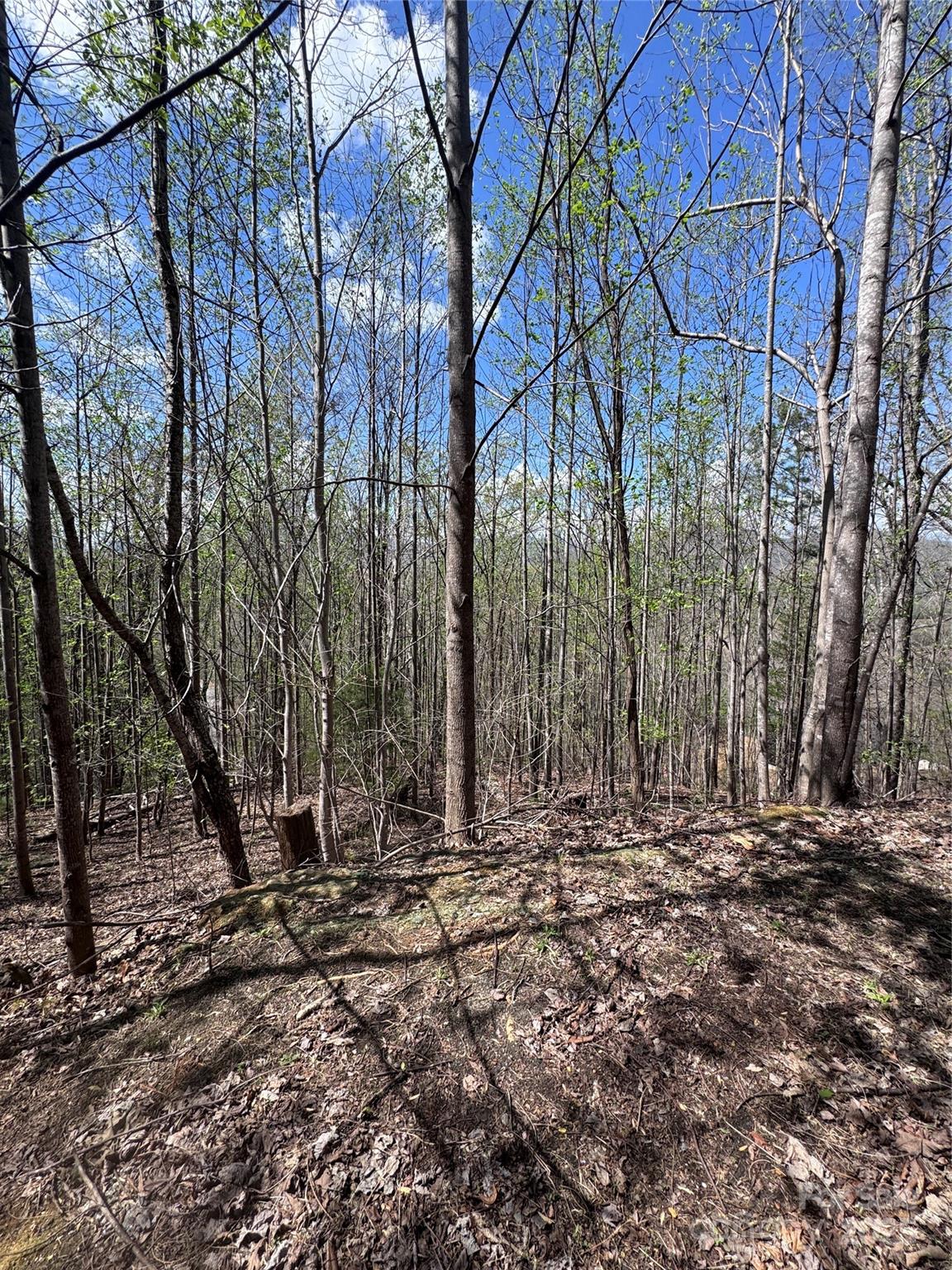 0 High Pines Loop Lake Lure NC 28746