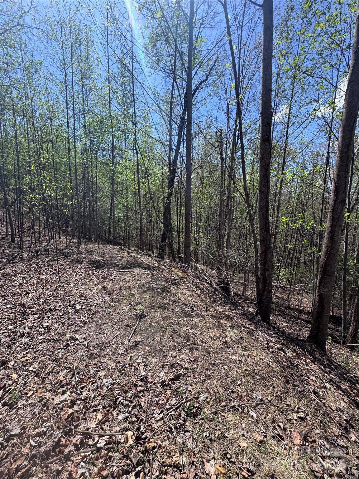 0 High Pines Loop Lake Lure NC 28746