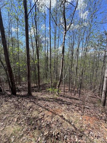 0 High Pines Loop Lake Lure NC 28746