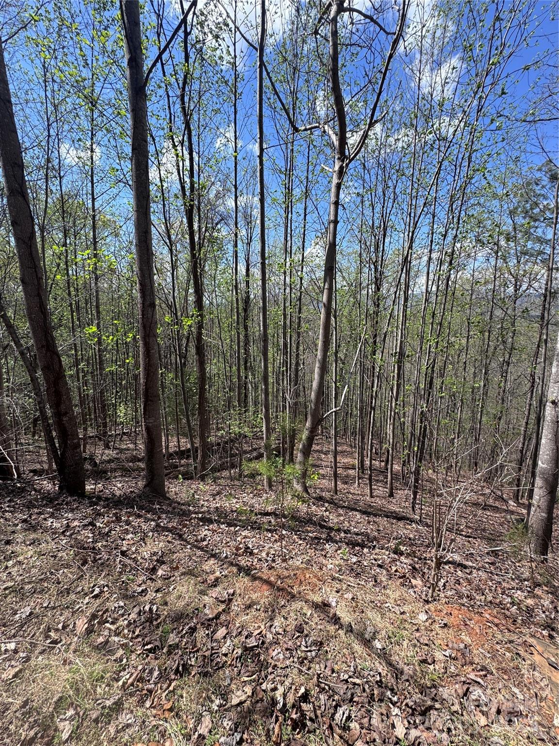 0 High Pines Loop Lake Lure NC 28746