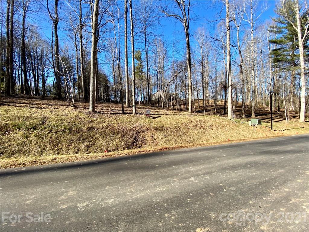 117 Poplar Green Way Asheville NC 28806