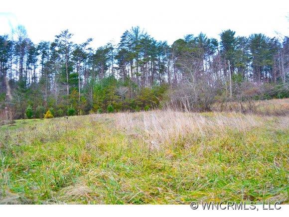 119 Meadow Run Drive Mills River NC 28759