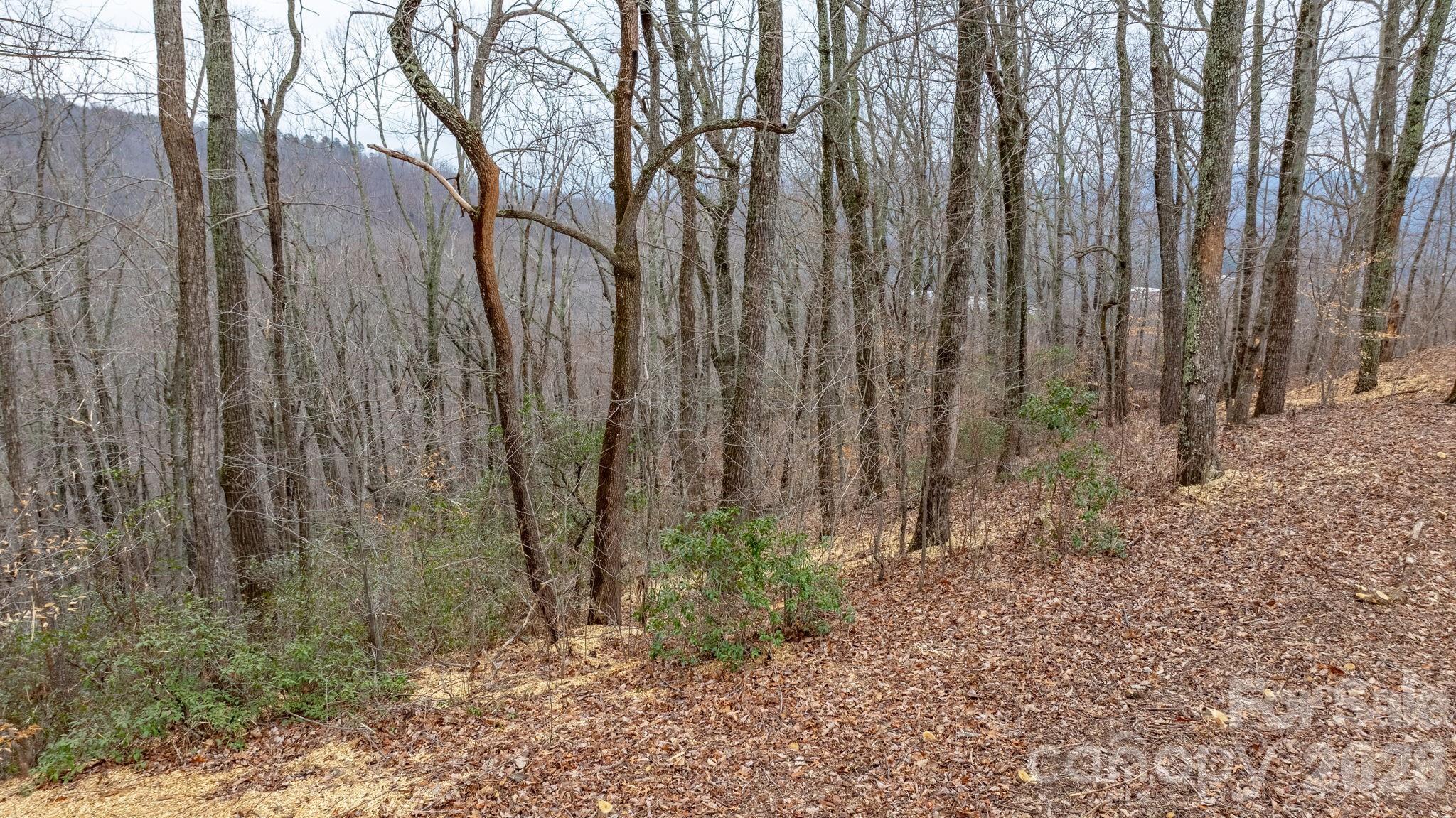 0 Mountain Crest Drive S Marion NC 28752