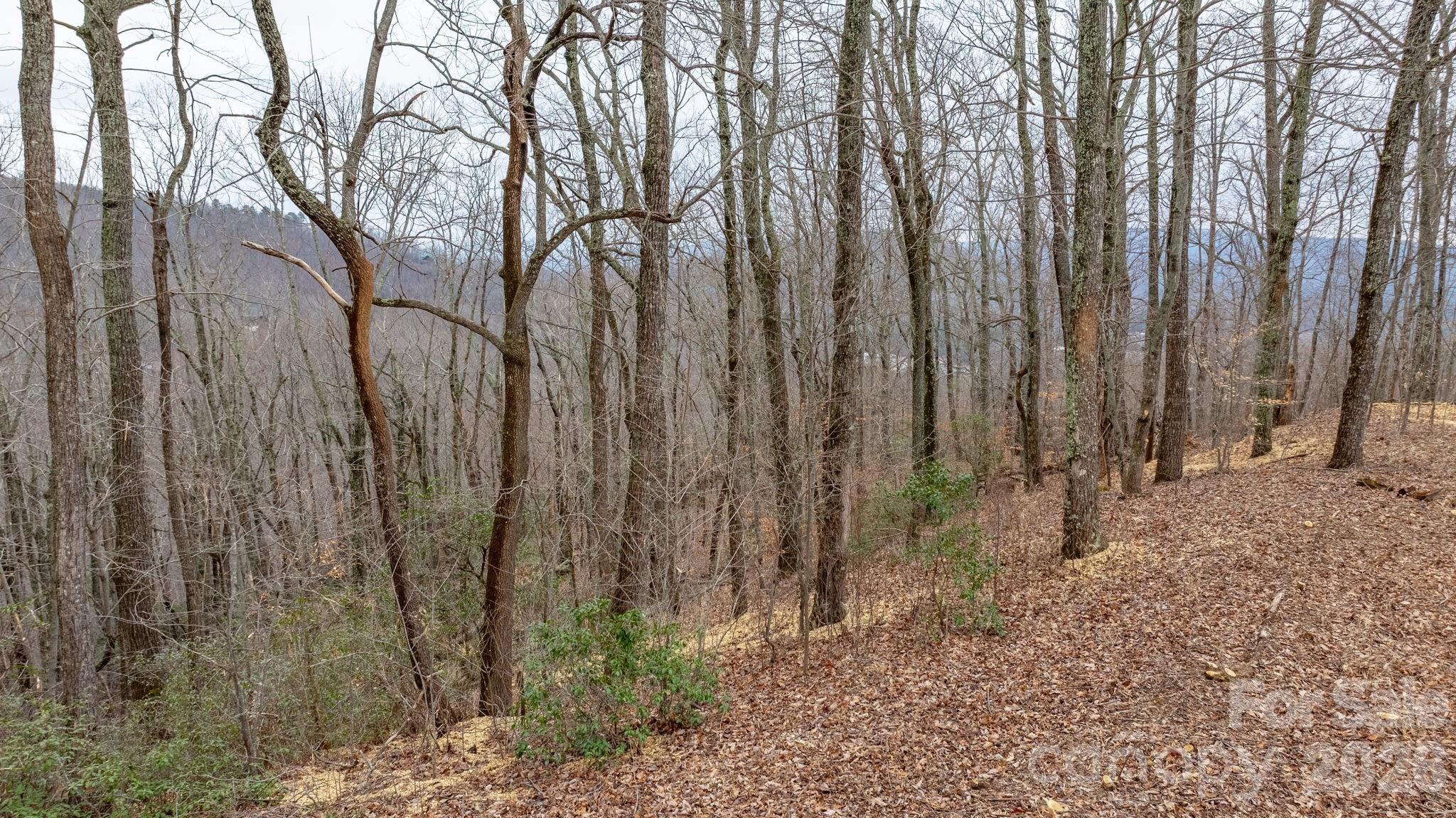 0 Mountain Crest Drive S Marion NC 28752