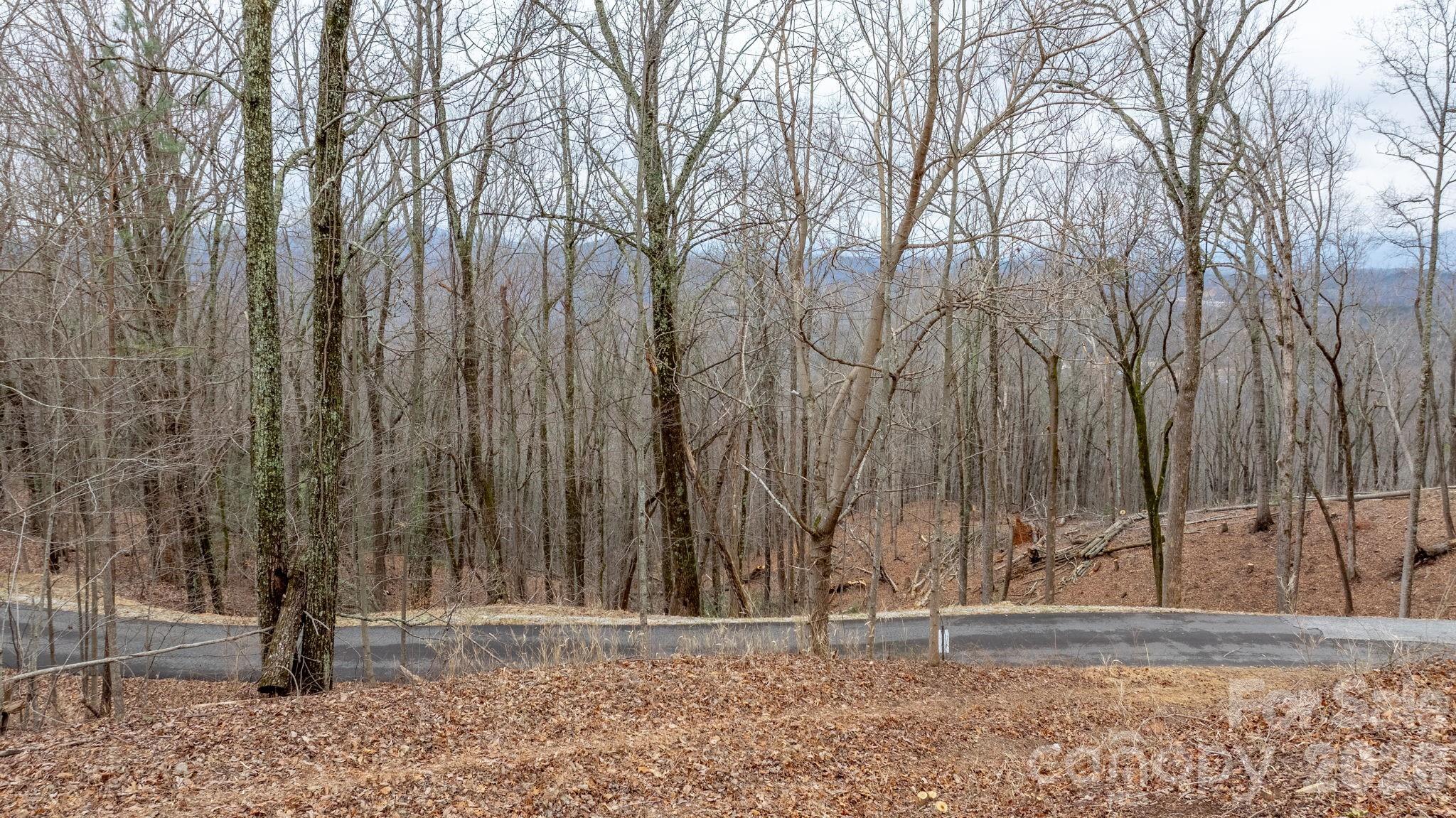 0 Mountain Crest Drive S Marion NC 28752