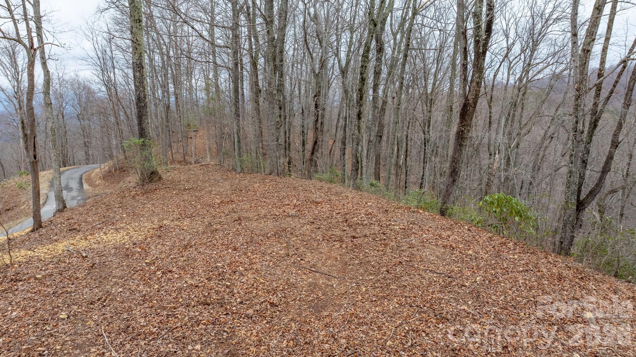 0 Mountain Crest Drive S Marion NC 28752