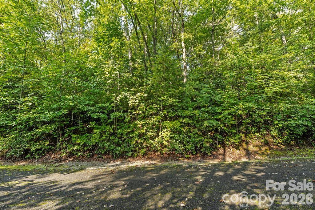 Tbd Barts Branch Drive Balsam Grove NC 28708