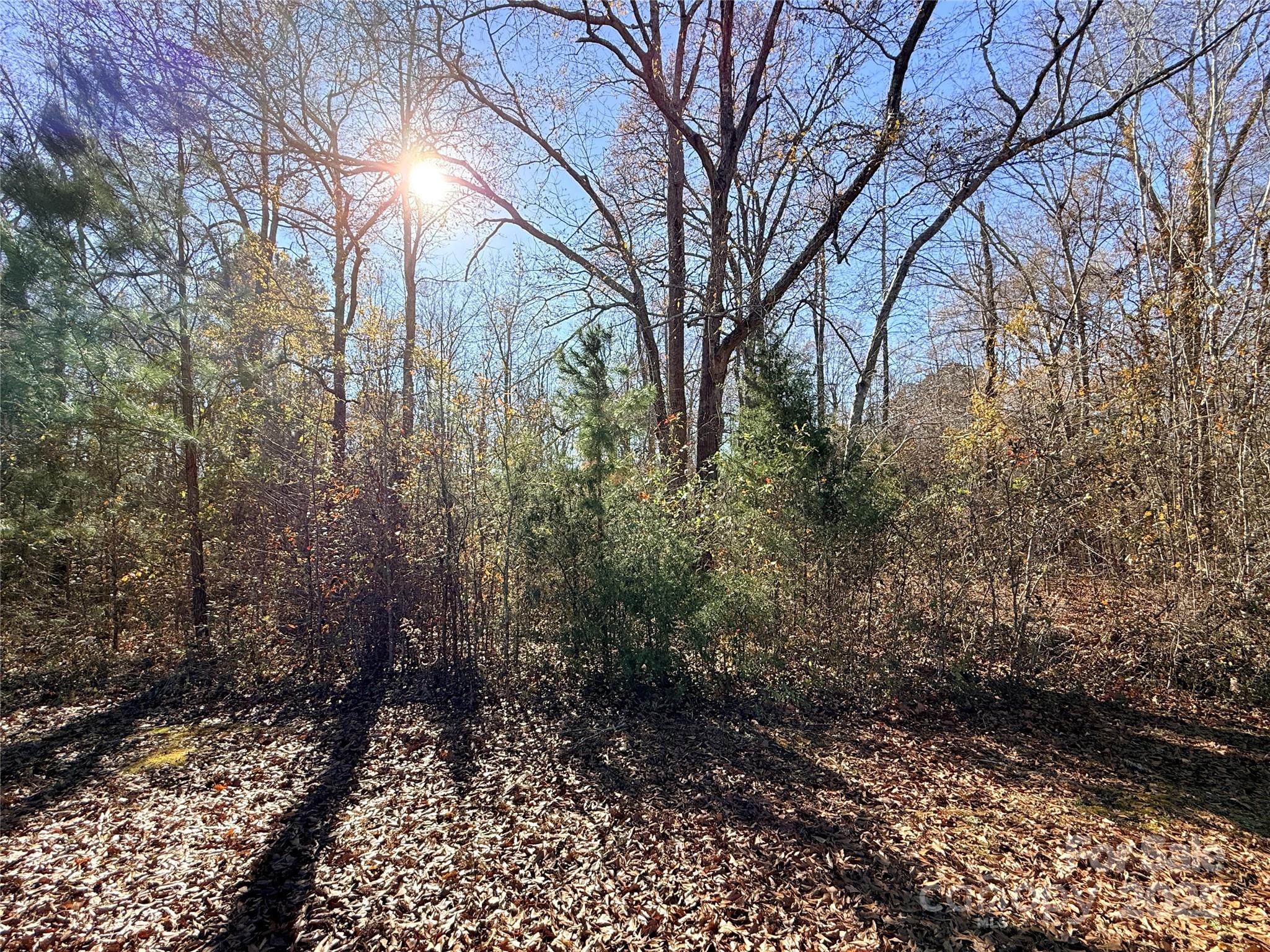 Lot 24 Avalon Lane Lancaster SC 29720