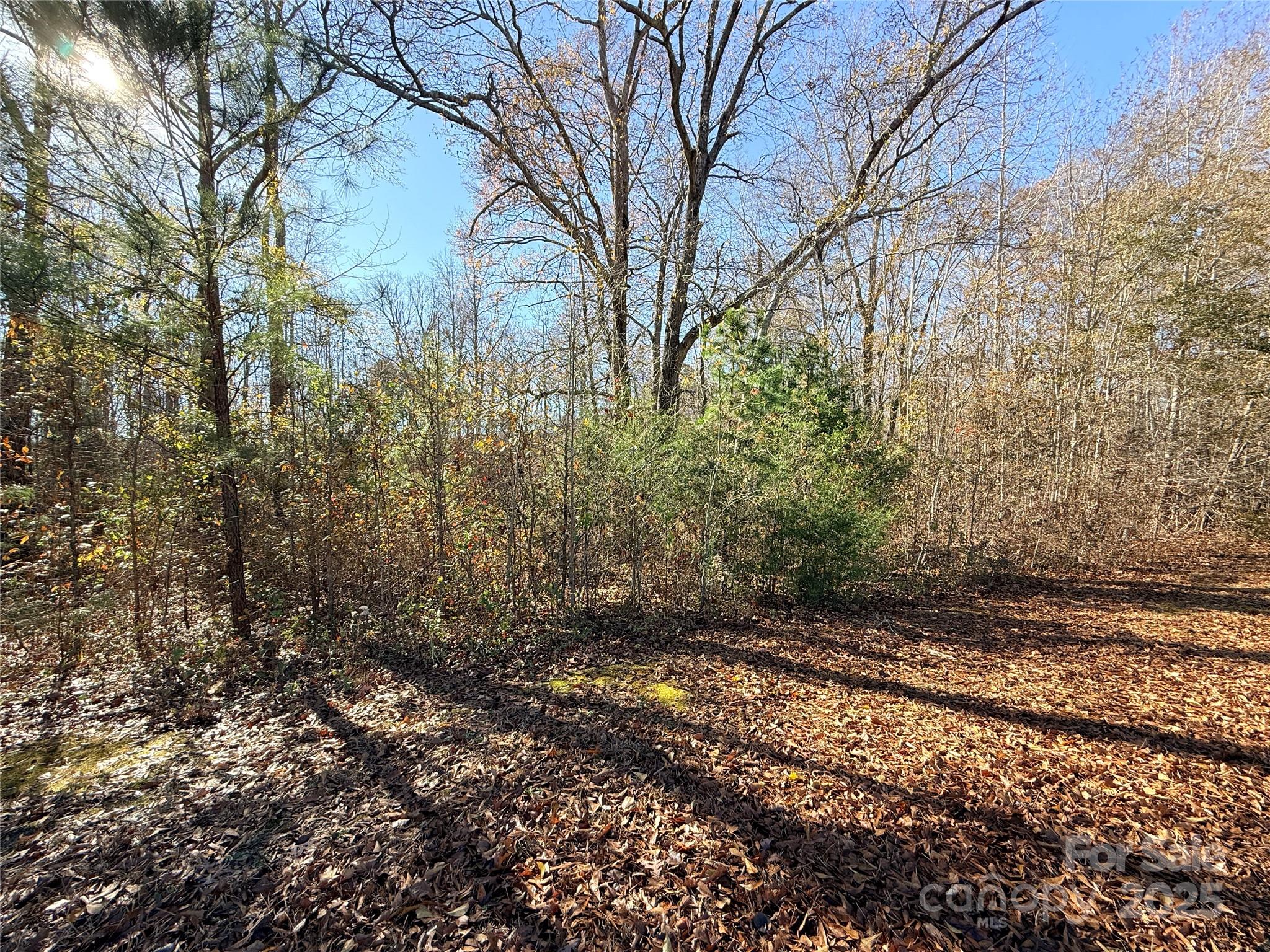 Lot 24 Avalon Lane Lancaster SC 29720